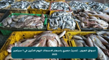 أسواق العبور.. تحديث حصري بأسعار الأسماك اليوم الاثنين في 1 سبتمبر 2025